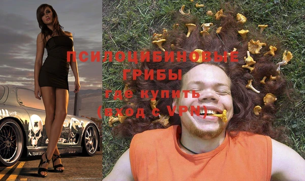 спиды Абаза