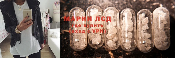 спиды Абаза